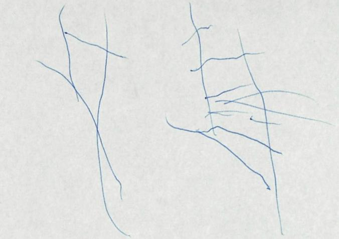 Text